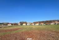 Großes Baugrundstück (ca. 1 ha) in Güssinger Ortsrandlage!