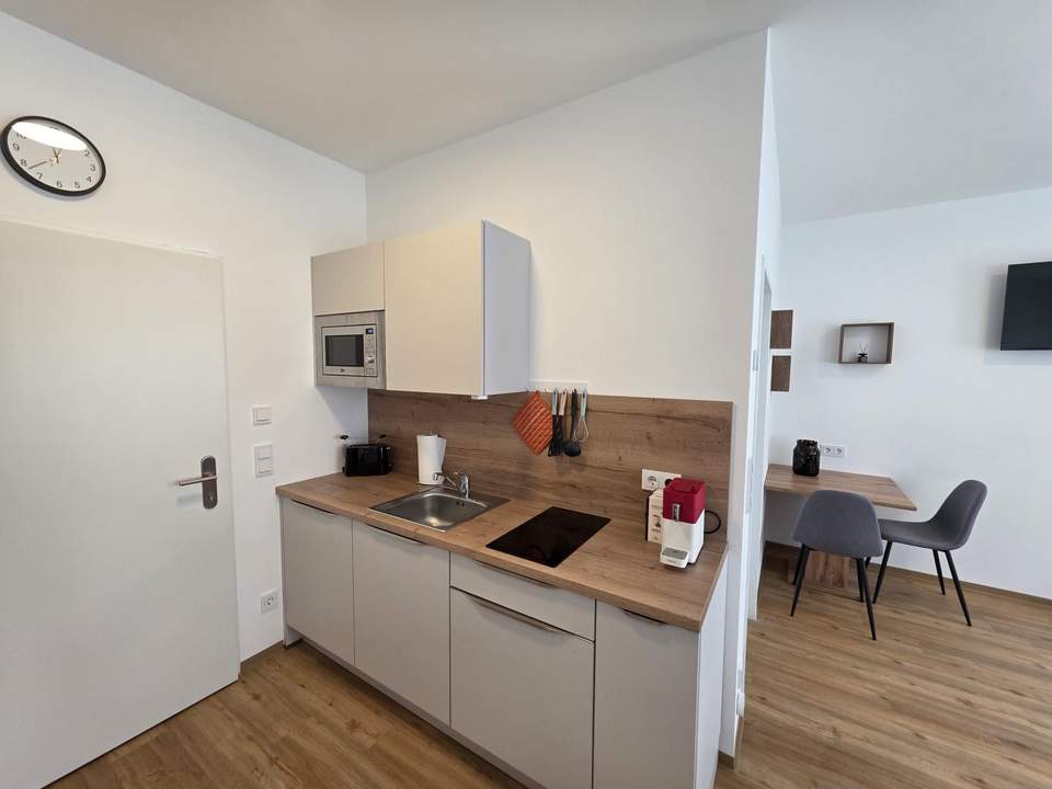 Möbliertes 1-Zimmer-Apartment ohne Loggia € 520,- inkl. BK, HK, Strom u. Wlan