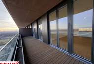 Sundowner über den Dächern!