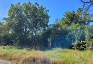 GRUNDSTÜCK mit Architektur-Entwurfsplanung in Zentrumsnähe