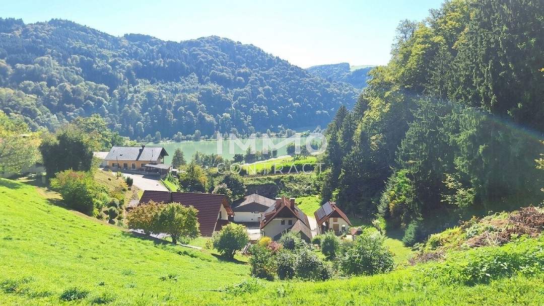 Baugrund 1.177 m² mit Donaublick - Südhang - mit angrenzenden kleinen Grünland 255 m² - St. Nikola