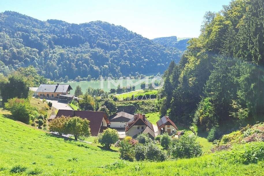 Baugrund 1.177 m² mit Donaublick - Südhang - mit angrenzenden kleinen Grünland 255 m² - St. Nikola, Grund und Boden-kauf, 44.500,€, 4381 Perg