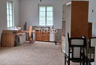 *****Raum für Ideen: Großes 8-Zimmer-Haus in Burg mit vielfältigen Nutzungsmöglichkeiten & Ausbaupotenzial – Nur 5 Gehminuten zum Badesee!!!***