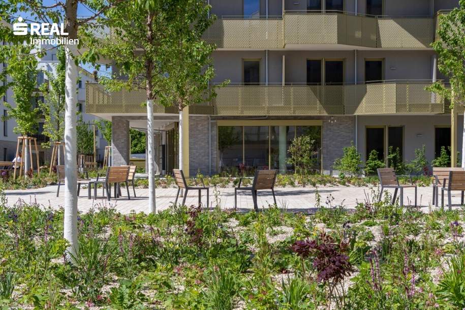 Nur € 270.000,-- im schönsten Eck von Floridsdorf - provisionsfrei, Wohnung-kauf, 259.000,€, 1210 Wien 22., Donaustadt
