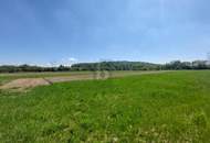 GRÜNLAND AN BAULANDGRENZE