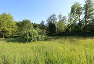 Baugrundstück mit See-Nähe und vielseitigen Nutzungsmöglichkeiten