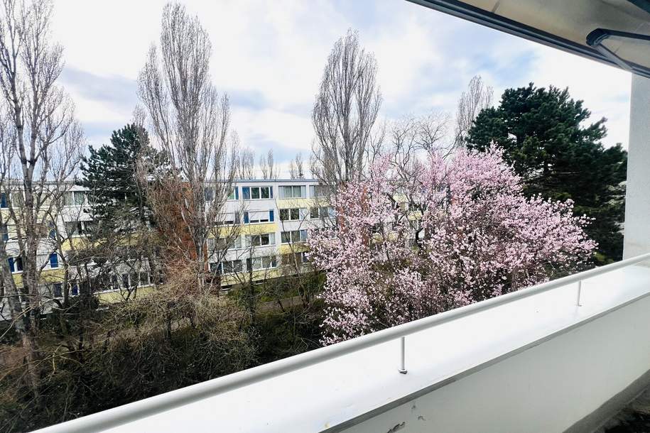 3 Zimmer Wohnung mit Loggia, Wohnung-miete, 1.345,82,€, 2344 Mödling