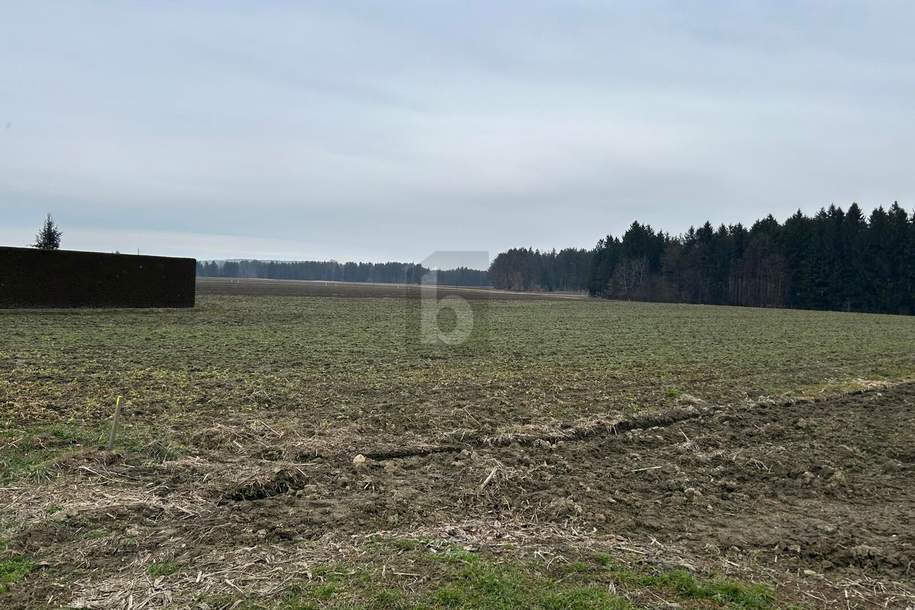 3 SEPARATE BAUGRUNDSTÜCKE IN RUHIGER LAGE, Grund und Boden-kauf, 120,€, 8424 Leibnitz