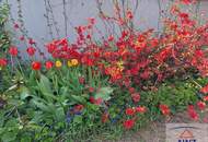 GroÃzÃŒgiges Haus mit Garten &amp; ca. 90 mÂ² Traumterrasse!