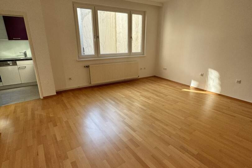 Schwedenplatz ! Geräumige kleine Wohnung in bester Lage !!, Wohnung-kauf, 479.000,€, 1010 Wien 1., Innere Stadt