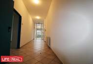 Vielseitiges Gewerbeareal mit Hallen, Büros und Außenflächen in Top-Lage – Taufkirchen/Trattnach