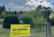 Großes Grundstück in Waldrandlage mit Altbestand zum Sanieren