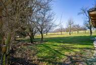 Mitten im Grünland! Einzigartige Panoramalage im Laabental - Hobby-Tierhaltung!