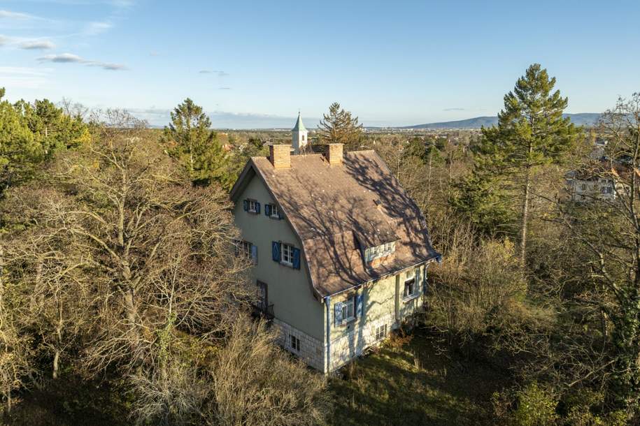 Rarität! Histroische Jahrhundertwende-Villa mit Privatpark und Wald | Blick in alle Himmelsrichtungen | Lichtdurchflutet, Haus-kauf, 1.890.000,€, 2721 Wiener Neustadt(Land)