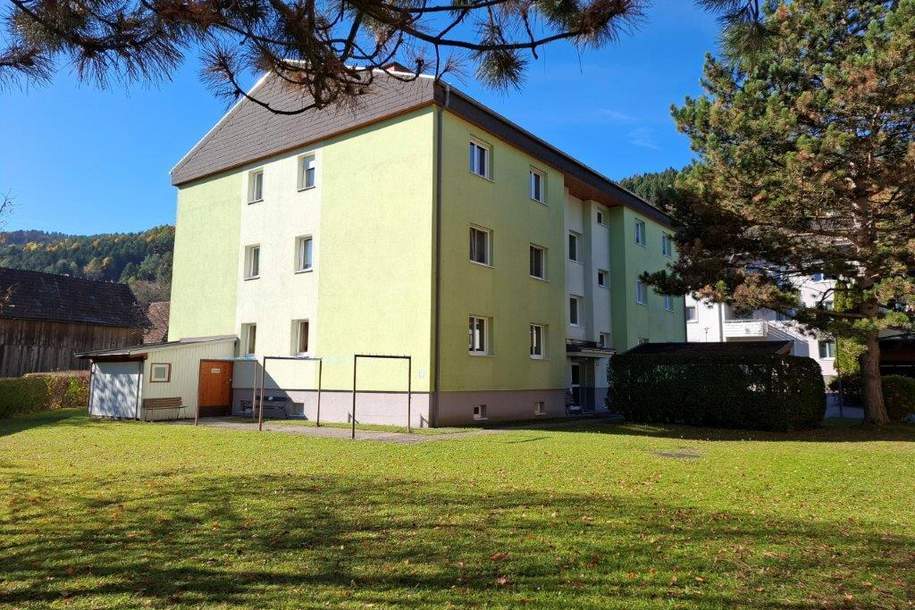 "Traumwohnung!", Wohnung-kauf, 99.000,€, 2840 Neunkirchen