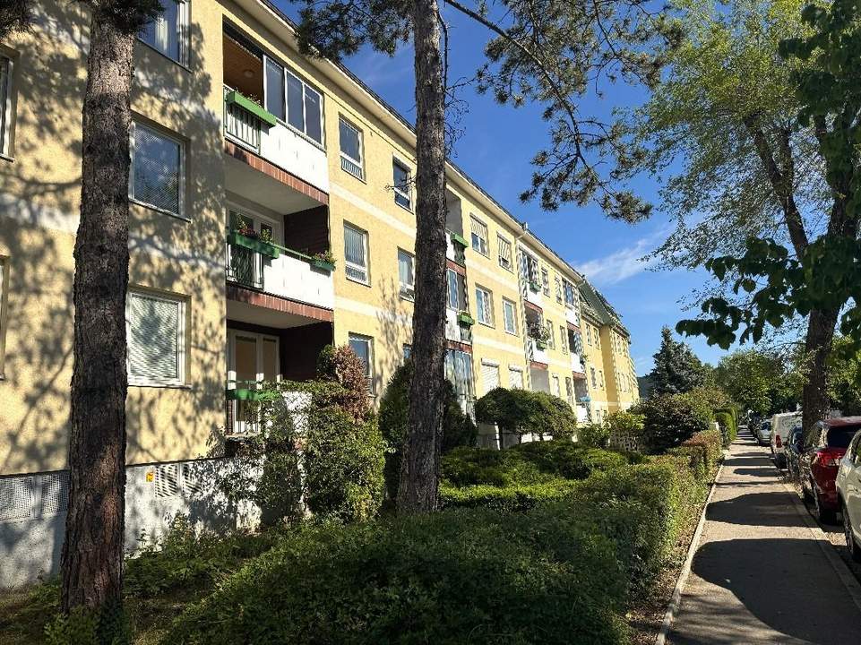 "3 Zimmerwohnung in Mödling"