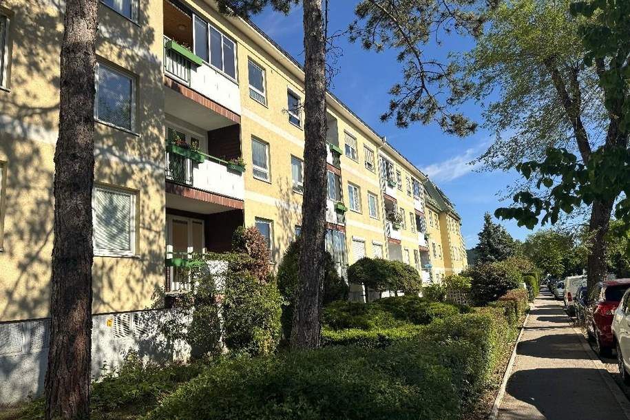 "3 Zimmerwohnung in Mödling", Wohnung-kauf, 250.000,€, 2340 Mödling