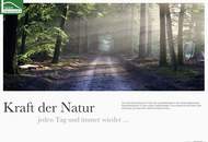 Anleger Aktionspreise mit Mietgarantie & guter Preisentwicklung. Penthouse auf 2 Etagen, mit Waldsauna - Wald | Berg | Fluss amBergblick19, Top 11+12. - WOHNTRAUM