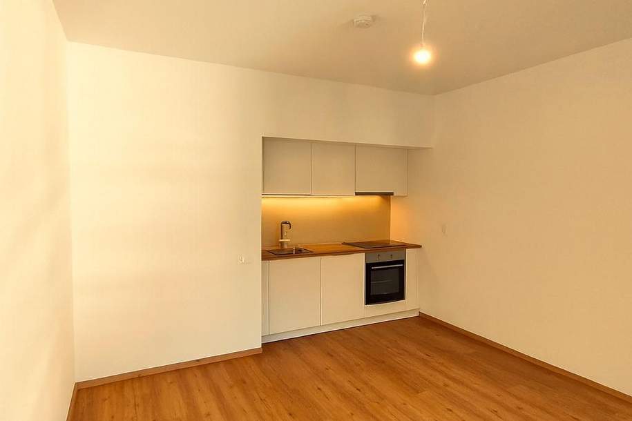 Garconniere im Zentrum von Innsbruck, Wohnung-kauf, 182.000,€, 6020 Innsbruck-Stadt
