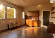 1 Zimmer Wohnung am Doblhofpark