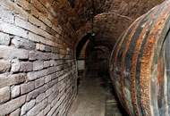 Potentialreiches Haus mit spitzen Weinkellerröhren in Groß-Schweinbarth