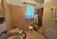 Alleinlage – sehr gepflegtes Haus mit Feriencharakter und Ausbaupotenzial zwischen Graz und Wien