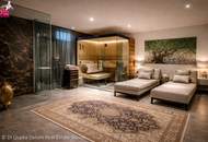 Möbliertes Designer-Doppelhaus mit Spa & Pool nahe Wien