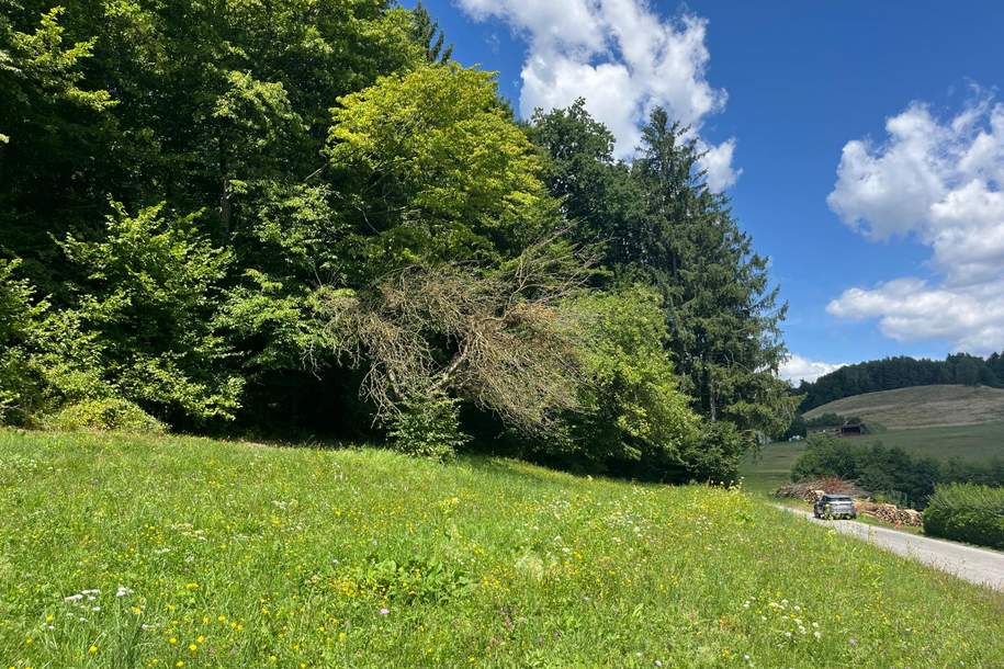 Grundstück mit sonniger Aussichtslage, Grund und Boden-kauf, 30.000,€, 8273 Hartberg-Fürstenfeld