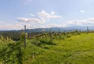 Blick ins Steirerland - für Liebhaber des BESONDEREN an der weststeirischen Schilcherweinstraße