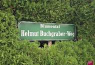 Garten im Eigentum der Kleingartenanlage Blumental