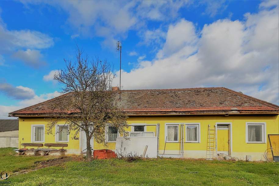 Großes Grundstück mit Einfamilienhaus und Lagerhalle, Haus-kauf, 389.000,€, 2054 Hollabrunn