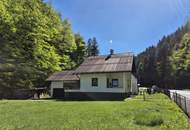 Einfamilienhaus mit großen Garten, renovierungsbedürftig