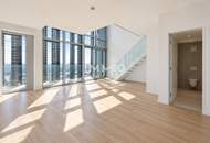 Penthouse AT THE TOP OF VIENNA. 51st Floor Above the DANUBE