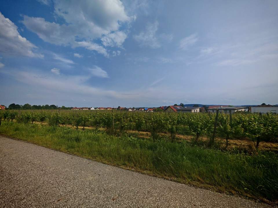 Riesling Weingarten Riede Röthling - PROVISIONSFREI!