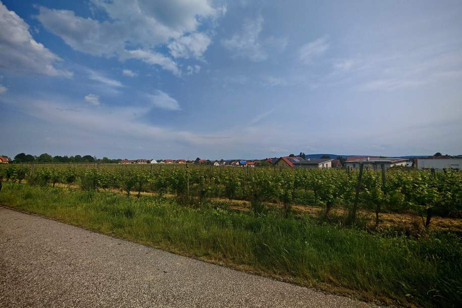 Riesling Weingarten Riede Röthling - PROVISIONSFREI!, Grund und Boden-miete, 40,00,€, 3495 Krems(Land)