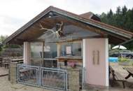 Apartmenthaus mit 8 Eigentumswohnungen sowie eine Großwohnung und Gewerbetrakt in sehr ruhiger Grünlage