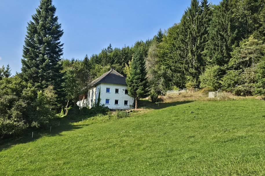 Bauernhof samt Auszugshaus (Sternchenbau) mit land- und forstwirtschaftl. Grund in idyllischer Alleinlage, Haus-kauf, 249.500,€, 4273 Freistadt