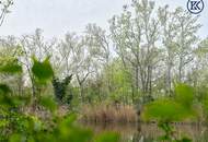 '" Nähe Müllwasser und der Lobau."