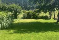 Sonniger Baugrund in traumhafter Ruhelage