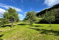 Baugrundstück in Judenburg – zentrumsnahe Ruhelage