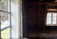 Handwerker/-in gesucht im kleinen Yspertal: liebenswertes Haus zum Sanieren in Nöchling