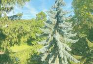 Wohnen, im Herzen von Baden – -Zentrale 3-Zimmer-Wohnung mit Atelier-Charme