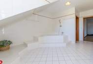 Villa mit 6 Zimmern in Grünlage in Schwechat