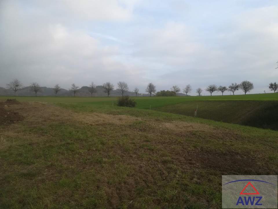 Tolle Baugrundstücke in 4342 Baumgartenberg!
