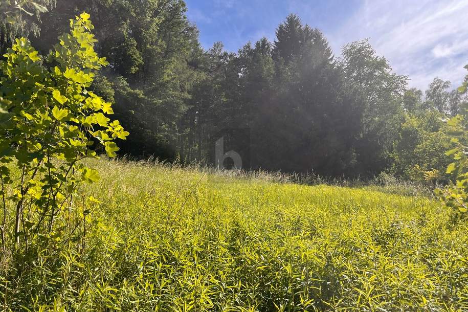 RUHIGES HANGGRUNDSTÜCK IN IDYLLISCHER WALDRANDLAGE, Grund und Boden-kauf, 105.000,€, 4782 Schärding