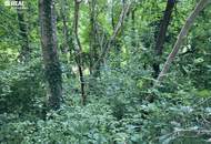 Wohnen wie in Schweden mit großem hellen Atelier!