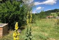 Familienidyll in Innermanzing – Modernes Haus mit großem Garten