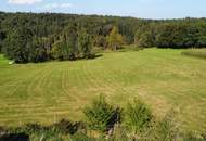 Arrondiert: Landwirtschaft mit individuellen Möglichkeiten!