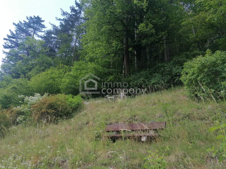 Jetzt investieren, später selbst nutzen - Vermietetes Landhaus in zentraler Lage von Gutenstein