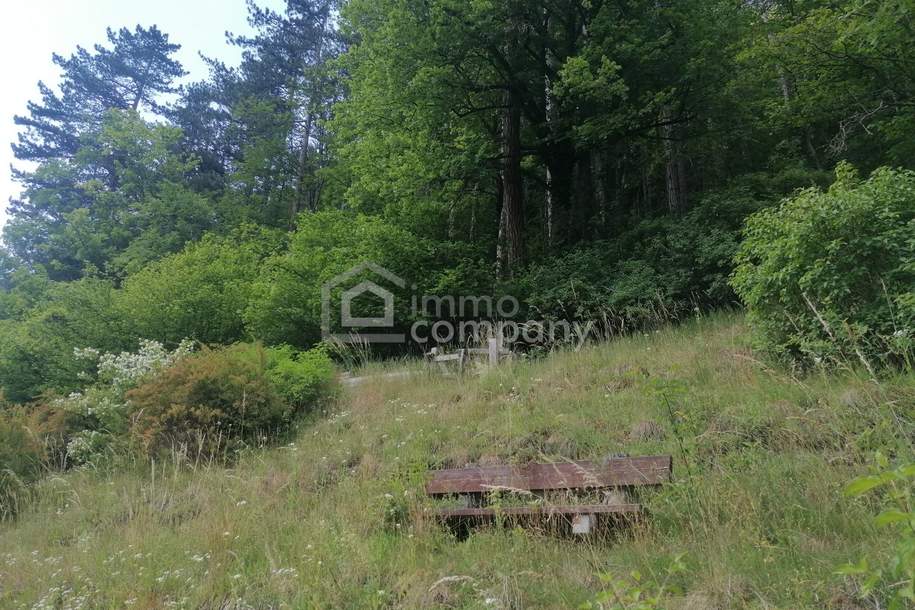 Jetzt investieren, später selbst nutzen - Vermietetes Landhaus in zentraler Lage von Gutenstein, Haus-kauf, 199.000,€, 2770 Wiener Neustadt(Land)